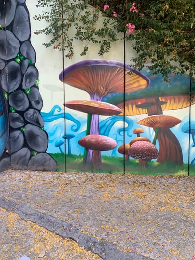 This media file displays a section of a mural painted on wooden planks, depicting a whimsical, fantasy-like scene with oversized mushrooms. The mural features large mushrooms in various shades of brown, orange, and purple, with intricate details on their caps and stems. Some mushrooms are shown growing from a background of rolling green hills and swirling blue water or abstract shapes. In the foreground, a stone wall is painted, made of dark gray, rounded boulders with small patches of green moss.
To the left of the mural, a leafy green bush with small pink flowers is growing, partially obscuring the painted surface. To the right of the mural, a cobblestone ground is visible, covered with a scattering of fallen yellow and pink flower petals and some dry leaves, suggesting an outdoor setting during a season with blooming and shedding flora. The lighting suggests it could be daytime, with the sun casting shadows, although this is not explicit. The overall mood evoked by the mural is one of enchantment and surrealism. No text is visible in the media file. The location context is Odivelas, Portugal.