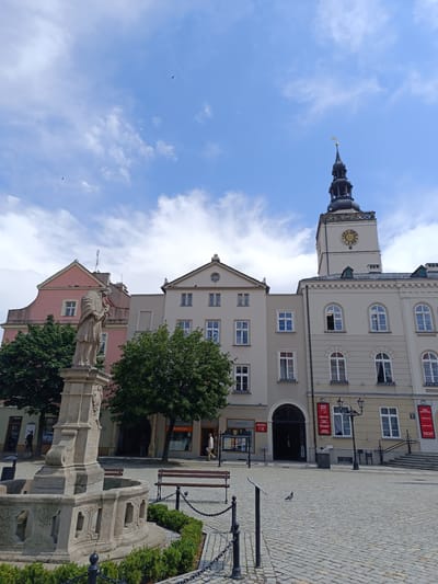 The image depicts a daytime scene in a town square in Dzierżoniów, Poland. The sky is blue with scattered white clouds, suggesting fair weather. In the foreground, a stone fountain with intricate carvings is a prominent feature, surrounded by low green hedges and bordered by a black chain fence. A paved cobblestone square extends behind the fountain, with several wooden benches visible.

Several buildings form the backdrop of the square. On the left, a pastel pink building with a distinctively shaped roof stands out. Adjacent to it is a lighter beige building with multiple windows. To the right, a grander, light-colored building features a prominent clock tower with a black spire and a gold finial. The tower has a large, ornate clock face. The buildings exhibit traditional European architecture with multiple windows, some of which are arched.

Two people are visible in the scene: one is walking away from the viewer towards the right side of the frame, and another is further in the background, near an entrance to one of the buildings. A pigeon is also visible on the cobblestone ground. The overall atmosphere is calm and serene, typical of a public square on a pleasant day. Red posters with white text are displayed on some of the building facades. Although the text on the posters is not entirely legible, some words appear to be in Polish. The image captures a typical urban square, blending historical architecture with everyday life.