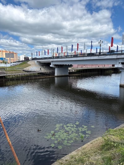 The image shows a view of the bridge over the Petrovsky Pond in Noginsk, Russia. The bridge is decorated with numerous red, white, and blue flags. A pedestrian walkway runs alongside the pond, with a few people visible walking on it. The water of the pond is dark and reflects the sky and the bridge. Lily pads are scattered on the surface of the water, and two ducks are swimming nearby. In the background, there are apartment buildings and other structures. The sky is cloudy with patches of blue.
