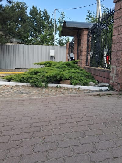 The image depicts an outdoor scene, likely on a paved walkway or driveway made of interlocking red bricks. In the foreground, the brickwork is the dominant feature. Behind the bricks, there is a low, curved wall or border with a white coping stone. Adjacent to this is a patch of ground covered with small, irregular stones and some scattered green foliage, including a large, sprawling green shrub with yellowish-green tips. Further back, a tall, grey corrugated metal fence runs horizontally across the image. To the right of the metal fence, a section of a brick wall, constructed from reddish-brown stones, stands tall. This wall is topped with an ornate black metal fence featuring intricate scrollwork and finials. A dark, curved awning is visible above an entranceway between pillars adorned with the same reddish-brown stonework. A small white electrical box is mounted on the corrugated metal fence. The sky above is a clear, light blue. The scene appears to be an exterior view of a property, possibly a residential or commercial entrance, in the city of Baterk, Kazakhstan. There are no people visible in the image.
