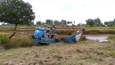 An abandoned, blue and white fishing boat rests on dry, sandy ground near a narrow body of water. The boat, showing signs of wear and tear with peeling paint and rust, is partially covered with a blue tarp. It is situated in a landscape with dry grass and scattered rocks in the foreground. In the background, a line of trees, including palm trees, forms a dense horizon. The sky is overcast. The scene depicts a rural coastal environment, likely in or near Tanjong Krueng, Indonesia. There are no people visible in the image, and no actions or interactions are occurring. The environment is characterized by natural vegetation and signs of human abandonment in the form of the derelict boat.
