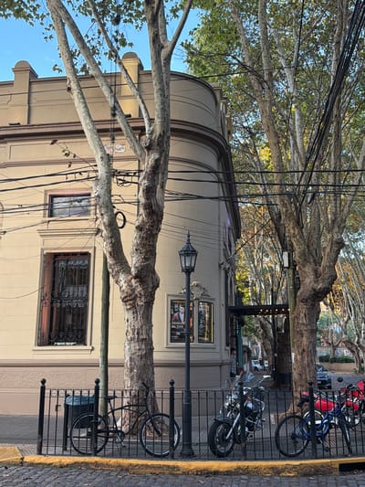 The scene captures a section of a street in Vicente López, Argentina. A cream-colored building with rounded architectural details is prominent on the left. Two trees with distinctive mottled bark stand in the foreground, their branches stretching across the frame and obscuring parts of the building. Numerous utility lines crisscross the sky between the trees. A black wrought iron fence separates the building from the street. Bicycles, including a blue one, and a motorcycle are parked behind the fence. A lamppost and signage are also visible. The sidewalk is paved with cobblestones.