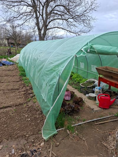 The image shows a greenhouse-like structure covered in a green mesh material located in Moshtanets, Bulgaria. A bare tree stands to the left of the structure. To the right of the structure, there is soil, grass, and some scattered debris. A red watering can and other containers are visible near the greenhouse. There are no people visible in the image. The foreground shows prepared soil and grass.