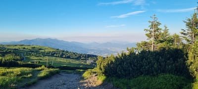 This is a landscape photograph taken in the mountains near Martin, Slovakia. The scene depicts a rolling, grassy hillside dotted with evergreen trees. In the foreground, a rough, rocky path winds its way down the slope, bordered by low-lying green bushes and tall grasses. A few trees are visible on the right side, with one tall, slender pine tree standing out prominently.
In the middle ground, a small cluster of trees and a building with a dark roof are nestled on the hillside. Further into the distance, a valley unfolds, with a town or city visible in the hazy distance, bisected by a road or highway and surrounded by more undulating mountain ranges. The sky above is a clear, bright blue with a few wispy clouds. The lighting suggests it is late afternoon or early morning, with the sun casting long shadows and illuminating the landscape with a warm glow. The overall impression is one of natural beauty and tranquility, with a hint of human settlement in the distant valley. There is no visible text in the image.