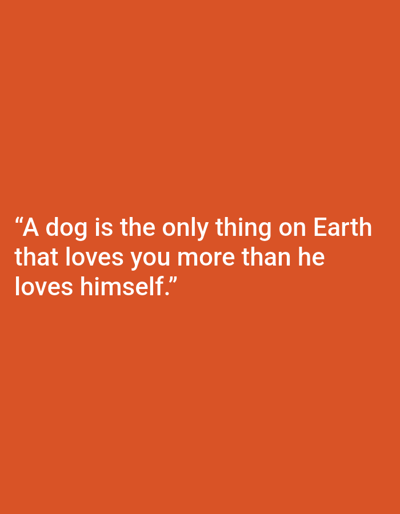 The image is a close-up, eye-level shot of a quote superimposed on a plain orange background. The quote, in white, sans-serif text, reads: "A dog is the only thing on Earth that loves you more than he loves himself." There are no people, animals, or discernible objects other than the text itself. The background is a solid, uniform orange color, with no discernible texture or features. There are no indications of the image being taken in Kępno, Poland, or any specific city.