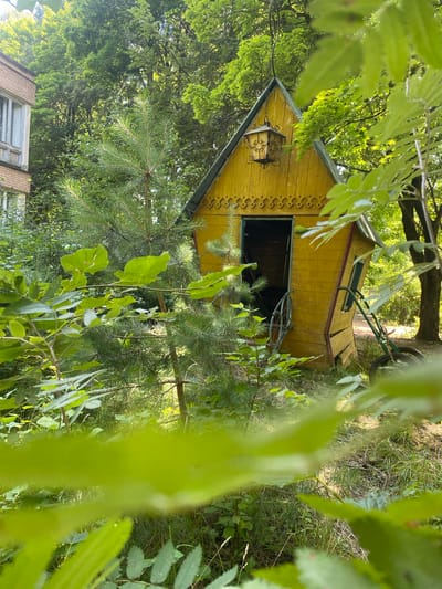 In the city of Shelkovo, Russia, a tilted, vibrant yellow, wooden structure with a pointed roof is partially obscured by lush green foliage. The structure, resembling a small house or shed, features an open doorway revealing a dark interior and a decorative, ornate lantern hanging from the apex of the roof. The facade is adorned with a patterned trim. To the left of the yellow structure, a portion of a brick building with windows is visible, suggesting an urban or suburban setting. The surrounding environment is characterized by abundant trees and vegetation, creating a natural, overgrown atmosphere. A wheeled apparatus, possibly a cart or garden equipment, is positioned near the yellow structure. The scene is bathed in dappled sunlight filtering through the leaves.
