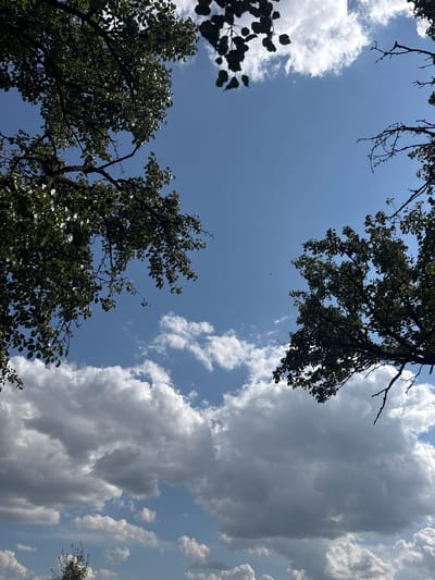 This image is a low-angle view of a blue sky filled with scattered white and grey clouds. Tree branches with green leaves frame the top and sides of the image, creating a natural border. The trees appear to be deciduous, with a network of bare branches visible in some areas, suggesting it might be late summer or early autumn. The lighting indicates it is daytime, with sunlight filtering through the leaves and illuminating the clouds. No people or specific structures are visible, suggesting an outdoor, natural setting, possibly a park or wooded area. The scene is consistent with a clear, albeit partly cloudy, day.