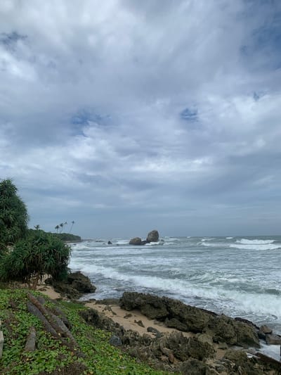 The image depicts a coastal scene in Habaraduwa, Sri Lanka, under a cloudy sky. The foreground is a rocky shoreline covered in lush green vegetation and several fallen logs. The sea is a deep blue-green, with moderate waves crashing onto the shore, creating white foam. In the mid-ground, several large rock formations rise from the water. The background shows a thin strip of land with palm trees, and the horizon is indistinct due to the overcast conditions. There are no people or animals visible in the image. The overall atmosphere is one of natural, untamed coastal beauty.