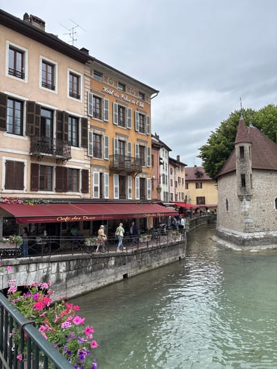This media file depicts a scene in Annecy, France, featuring a canal lined with historic buildings. The buildings are multi-story, with a variety of window styles, shutters, and balconies. One building has a sign that reads "Hotel du Palais de l'Isle." Along the canal, there is a cafe with outdoor seating. People are seated at tables, enjoying the ambiance. The water in the canal is calm and reflects the overcast sky.

The weather appears to be cloudy, suggesting it might be an overcast day, possibly in the late morning or afternoon. The scene conveys a relaxed atmosphere, with people leisurely dining and enjoying the waterfront.

Notable details include the architecture of the buildings, the presence of people engaged in typical cafe activities, and the natural element of the canal. The lush green trees in the background and the colorful flowers in planters add to the picturesque quality of the scene. The overall impression is one of a charming European town square, with a focus on the canal and its surrounding establishments.