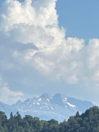 The image captures a mountainous landscape under a bright, partly cloudy sky. The scene is dominated by large, fluffy white clouds that occupy the left and central portions of the frame. To the right, a dark green evergreen tree line is visible, suggesting a forested area in the foreground or on a nearby slope.

Behind the clouds, the indistinct shapes of mountains can be seen, with patches of snow scattered across their surfaces, indicating higher altitudes. The sky is a clear blue, peeking through the cloud cover. The orientation of the image is such that the landscape appears tilted, with the tree line running vertically along the right edge and the mountains appearing as if viewed from below.

The lighting suggests it is daytime, likely midday or early afternoon given the brightness of the sky and clouds. The weather appears fair, with the presence of scattered clouds rather than heavy precipitation. No people or specific objects are discernible, and there is no visible text. The overall impression is one of a scenic, natural environment, possibly a mountain range in Switzerland, given the location context. The mood conveyed is serene and expansive, characteristic of mountain vistas.