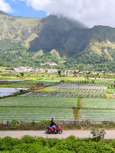 The image shows a landscape near Sembalun Bumbung, Indonesia, featuring agricultural fields, a village, and mountains. In the foreground, a man rides a red scooter on a road lined with dense green vegetation. Behind the road, fields covered in rows of plastic sheeting alternate with green crops. Further back, a village sits nestled amidst trees, with houses visible against the backdrop of a large, green mountain. The mountain’s peak is partially obscured by clouds. The sky is blue with scattered clouds.