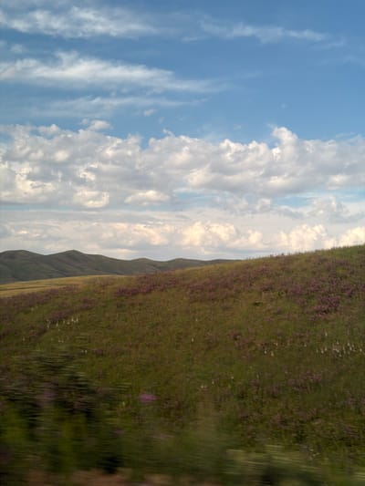 This is a landscape photograph taken from a moving vehicle, likely a car or bus, on a bright, cloudy day. The image is oriented vertically, giving a sense of looking up and to the side. The left half of the frame is dominated by a vast blue sky filled with dynamic, white cumulus clouds. Wispy, cirrus clouds streak across the sky in thin, parallel lines, adding texture and depth.
The right side of the image features a steep, grassy hillside, dotted with numerous small, purple wildflowers. The hillside appears lush and green, suggesting it is springtime or summer. The texture of the grass and flowers is blurred due to the motion of the vehicle, creating a sense of speed and a streaky effect. In the distance, the contours of rolling hills or mountains can be seen against the cloudy sky. The lighting indicates it is likely daytime, possibly late afternoon given the soft quality of the light illuminating the clouds. The scene evokes a feeling of travel and the beauty of natural landscapes in Kyrgyzstan, specifically in the Karagai Bulak region. There is no visible text in the image.