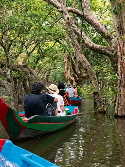 In the city of Soutr Nikom, Cambodia, a boat tour navigates through a flooded forest. The foreground features a colorful boat, painted with red, green, and blue accents, carrying two individuals. The person in the front is wearing a black t-shirt, while the person behind them sports a white t-shirt and a straw hat. Further down the waterway, a procession of boats filled with tourists can be seen, their occupants facing away from the camera. The surrounding environment is characterized by dense foliage and twisted trees, their branches forming a canopy over the water. The water itself reflects the green of the trees and the dappled sunlight filtering through the leaves. The scene depicts a serene and immersive nature experience.