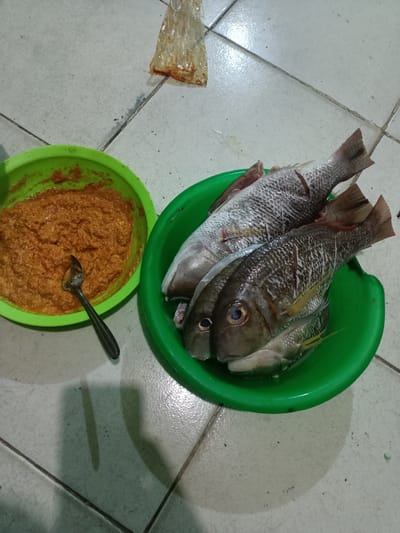 The image depicts a culinary scene on a tiled floor, likely indoors. Three fish, possibly snapper based on their appearance, are stacked in a green plastic bowl. Another green bowl contains a reddish-orange paste, likely a marinade or sauce, with a spoon resting inside. In the upper portion of the image, there's a plastic bag containing a reddish liquid. The tile pattern and general setting suggest this could be a home or small food preparation area. Given the prompt specifies the location is in Batam, Indonesia, it's reasonable to infer that these are ingredients for a local Indonesian dish. No people are visible in the frame, and the focus is solely on the food preparation elements. The tiled floor appears to be worn, with visible grout lines.