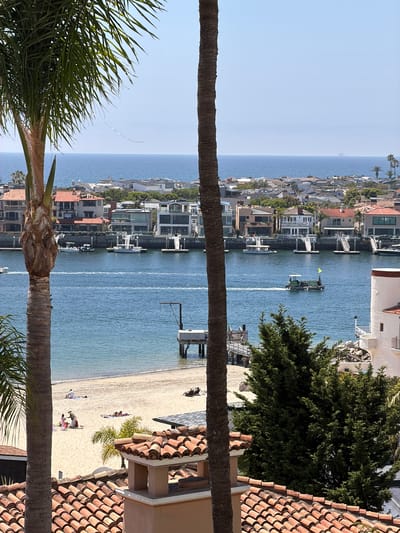 The image depicts a sunny coastal scene in Newport Beach, California, U.S.A., viewed through two palm tree trunks. The ocean is in the background and water stretches toward a narrow beach area populated with people sunbathing and interacting. A row of houses sits along the shoreline. A work boat is visible on the water near the shoreline and other watercraft are docked along the waterfront homes.