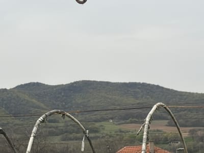 The image depicts a rural scene in Maslinovo, Bulgaria. In the foreground, there are several arched structures, possibly made of metal pipes and covered with white material, perhaps plastic or tape. These structures appear to be part of a garden or agricultural setting. Behind these structures, a landscape of rolling hills and fields stretches towards the horizon. The hills are covered with a dense forest, showing a mix of green trees. A few buildings with red tile roofs are visible among the fields and trees in the mid-ground, suggesting a small village or scattered houses. The sky is overcast, casting a soft, diffused light over the scene. There is also a ring-shaped object hanging from above, at the top of the image.