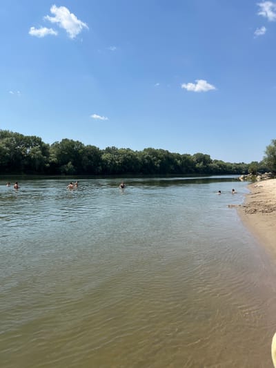 In the city of Indiya, Moldova, a wide, calm river flows through a natural landscape. The water is a muted green, reflecting the overcast sky, with ripples suggesting a gentle current. On the left bank, a dense line of lush green trees stretches along the horizon, forming a natural barrier. The right bank features a sandy beach, with some scattered rocks and vegetation near the water's edge. Several people are visible in the river, swimming and enjoying the water. Some are standing, with their heads and shoulders above the surface, while others appear to be swimming or wading. A few individuals are closer to the sandy bank, while others are further out in the river. The sky above is a pale blue, with a few scattered white clouds. The scene depicts a peaceful summer day, with people taking advantage of the river for recreation.