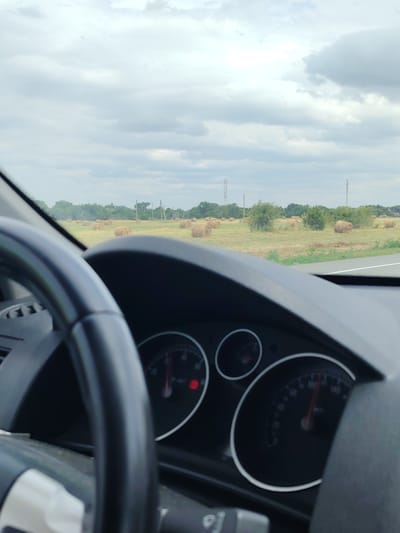 The image shows a view from inside a car, looking out at a rural landscape. The foreground is dominated by the steering wheel and dashboard of the car, with a speedometer visible. The landscape outside features a field with numerous round hay bales, scattered trees, and utility poles. The sky is overcast with clouds. The scene appears to be in a rural area near Izobil'nyi, Russia, based on the context provided. There are no people visible in the image. The car appears to be in motion, as indicated by the perspective and the speedometer reading.