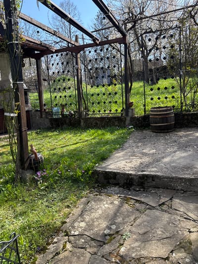 A sunny, slightly overgrown garden scene in Gorno Trape, Bulgaria. A weathered wooden barrel stands on a concrete slab, adjacent to a metal diamond-pattern fence dividing a lawn area. The concrete extends into a cracked stone patio. A wrought iron pergola structure covered in vegetation is in the lower portion of the frame. Another wooden barrel with a wooden tap is present on the right side of the image, partially hidden in the grass. The location is outdoors. The sky is blue. Some flowering trees are visible in the background.