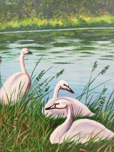 This is a close-up painting of three swans in a body of water, likely a lake or river, with tall green reeds and grass in the foreground. The swans are predominantly white with pinkish undertones, and their necks are curved. Two swans are nestled together in the grass, partially obscured, while a third swan stands taller to the left, looking to its left. The water is depicted with horizontal brushstrokes of light blue and green, suggesting ripples or reflections. Behind the water, there is a blurred background of green foliage with hints of yellow, possibly trees or a forest edge. The painting is done in an impressionistic style with visible brushstrokes on a textured canvas. There is no indication of the city of Churapcha, Russia, or any urban elements in the scene.