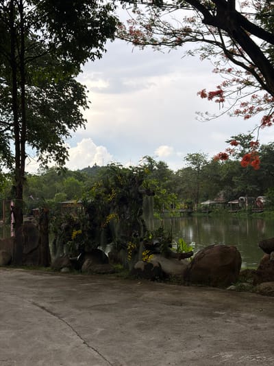 This image depicts a serene natural landscape, likely a park or recreational area, situated in Khánh Vĩnh, Vietnam. The foreground features a paved pathway, appearing slightly weathered with a visible crack running diagonally. To the left of the pathway, a large, dark-barked tree stands prominently, its dense foliage casting shadows. Adjacent to the tree are several large, irregularly shaped rocks.
The middle ground showcases a lush arrangement of plants, including what appear to be orchids with yellow blossoms and hanging moss-like vegetation. This botanical display is interspersed with more rocks. Beyond this, a tranquil body of water reflects the overcast sky and the surrounding greenery. Along the water's edge, several small, rustic structures are visible, resembling gazebos or small shelters, some with peaked roofs. A wooden bridge or walkway extends into the water from the left side of the frame.
The background is dominated by a dense forest, with rolling hills rising in the distance. The sky is filled with white, puffy clouds, suggesting a partly cloudy day. In the upper right corner of the image, branches of a tree with vibrant red flowers add a splash of color to the scene. There are no people visible in the image. The overall impression is one of natural beauty and peacefulness.