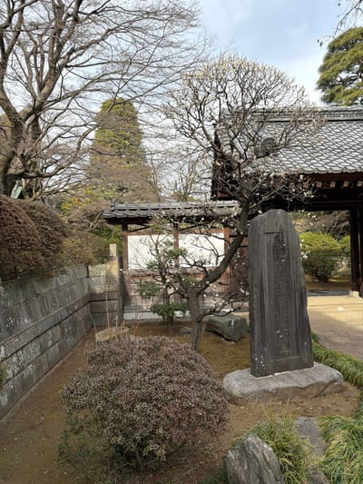 A Japanese garden scene features a stone monument inscribed with characters. A blossoming tree stands beside it, its branches reaching toward the sky. Traditional Japanese architecture with a tiled roof forms the backdrop. Low bushes and a stone wall line the edge of the garden path. A large bare tree with intricate branches is visible on the left. The overall scene evokes a sense of tranquility and harmony.