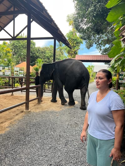 In Baan Thurian, Thailand, a woman in a light blue t-shirt and teal shorts stands in the foreground, facing right, with a slight smile. Behind her, a large gray elephant is walking away from the camera, towards a shaded enclosure. A man in a dark uniform stands near the elephant, appearing to be a handler. The ground is covered in gravel, and a wooden fence encloses the elephant's area. The background features lush green trees, palm trees, and buildings with reddish-brown roofs, suggesting a tropical environment. Information signs are visible on the left side of the enclosure. The overall scene depicts a visit to an elephant sanctuary or park.