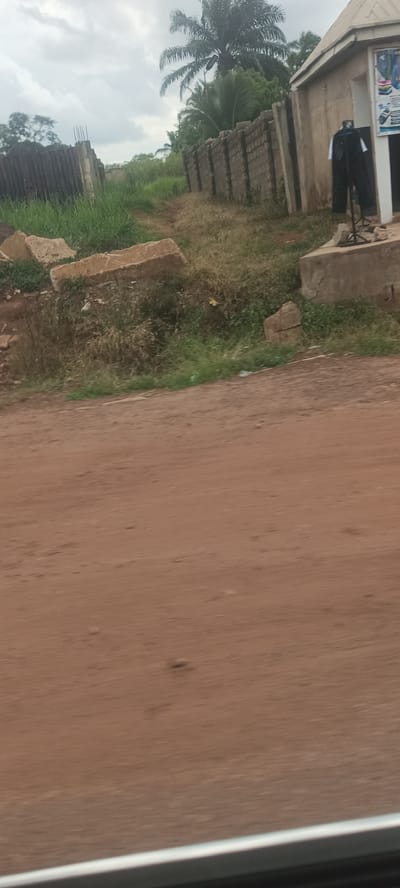The image shows a street scene in Ozalla, Nigeria. The foreground consists of a red dirt road. To the left of the road is a grassy area littered with large concrete blocks. In the background are a partially constructed fence made of dark wooden planks, and a concrete block wall partially overgrown with vegetation. To the right of the wall is a small building with a storefront where a suit is displayed. In the far background, there are trees including a palm tree, and a cloudy sky.