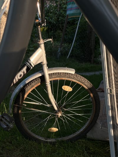 A bicycle is leaning against an unseen support, positioned outdoors in a grassy area. The bicycle is primarily silver with black accents, and its front wheel is prominently featured, showing a worn tire and numerous spokes. A silver fender is visible above the front wheel. The frame of the bicycle displays the text "GATOR" in a stylized font. The scene is illuminated by the warm light of what appears to be late afternoon or early evening. Behind the bicycle, a chain-link fence can be seen, with green foliage and some garden elements beyond it, including what looks like a striped tarp and a wooden pole. The overall setting suggests a residential backyard or a similar outdoor space. There is no activity or event taking place; the bicycle appears stationary. The location is noted as Romanivka, Ukraine.