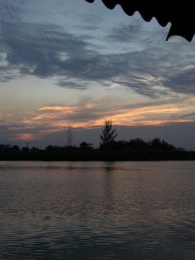 The image displays a serene landscape scene captured during either sunrise or sunset over a body of water in Tampico, Mexico. The sky, occupying the upper portion, features soft blues and grays that transition into warm oranges and pinks closer to the horizon, where the sun's low angle illuminates horizontal, wispy cloud formations.

A dark, silhouetted band of dense trees and vegetation forms the horizon line across the middle of the frame, separating the sky from the water. Within this silhouette, a few taller, bare tree branches and some indistinct structures, possibly a small building or platform, are faintly visible.

The lower half of the image is a calm body of water, likely a lake or river, whose surface is textured with gentle ripples and reflects the muted colors of the sky.

A prominent, irregularly shaped black mass, with a jagged upper edge, intrudes into the top-left corner of the frame, partially obscuring the sky. This element appears to be a foreground obstruction or part of a nearby structure. No people or visible text are present. The overall atmosphere conveyed is peaceful and tranquil.