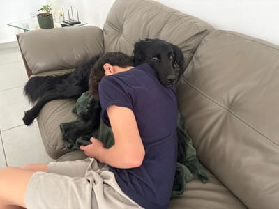 A young person sits on a taupe leather couch, holding a black remote control. A black, long-haired dog is draped over them, its head resting on the person's shoulder. The dog looks directly at the camera. A green blanket is between the person and the dog. A small glass-topped table with a plant and decorative objects stands behind the couch's armrest.