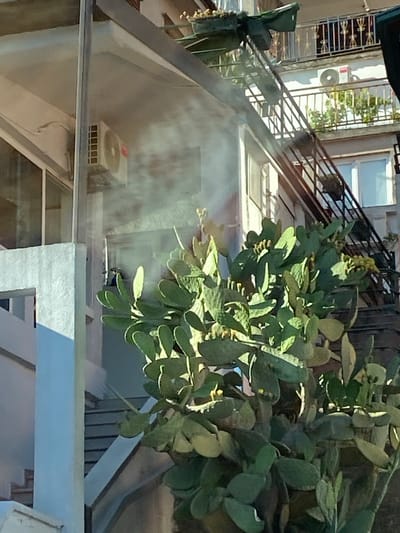 The image shows a partial view of a building in Meljine, Montenegro, as seen through a glass pane. The building appears to have multiple stories, with a metal railing visible on a balcony or terrace. A cactus is prominently featured in the foreground, partially obstructing the view of the building. An air conditioning unit is installed on the exterior wall of the building. Stairs lead up the side of the building.