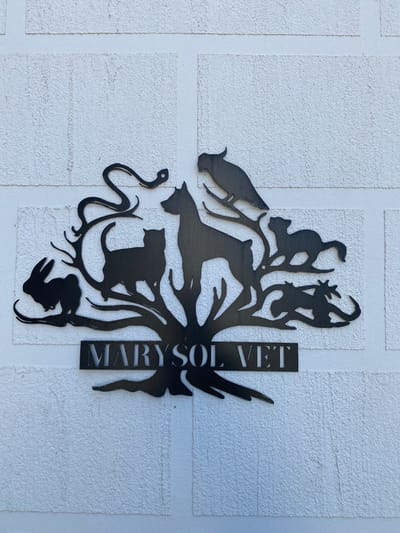 A metal sign for "Marysol Vet" is affixed to a white, textured wall, likely an exterior wall due to the wall's construction. The sign itself features silhouettes of various animals, including a cat, dog, bird, snake, lizard and rabbit arranged in an artistic composition. The letters of the name "Marysol Vet" are cut out, creating a negative space effect. The sign and wall are outdoors under daylight conditions. The location, Pelinovo, Montenegro, cannot be determined from the image.