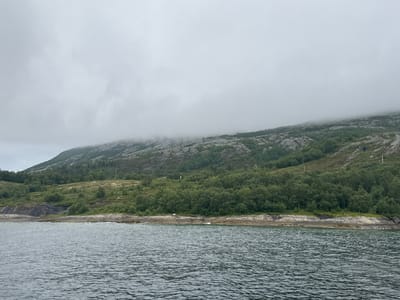 The image shows a body of water in the foreground, with ripples indicating a slight breeze. The water is a dark, grayish-blue. Beyond the water, a rocky shoreline with scattered vegetation and some larger boulders is visible. Behind the shoreline, a dense forest of green trees covers the lower slopes of a hill. The hill rises to a more barren, rocky peak, portions of which are obscured by a thick layer of fog or low-lying clouds. Power lines are visible running up the side of the hill in the upper left portion of the image. The sky is overcast and a uniform gray. The scene appears to be a natural landscape, likely in a coastal or fjord region. This view is consistent with the geography of Stokkvågen, Norway, which is characterized by its proximity to the coast, hilly terrain, and frequent fog. There are no people or discernible man-made structures beyond the power lines.