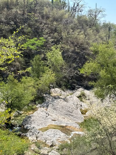 The image depicts a rocky, mountainous landscape with varying vegetation in San Miguel Atlapulco, Mexico. The scene is dominated by gray rock formations interspersed with shrubs, trees, and some bare branches. The foliage includes shades of green, yellowish-green, and some lighter, blooming white. The sky is visible as a pale blue strip at the upper-left corner of the frame. A small stream or water flow trickles over the rocks. The terrain appears uneven and steep, suggesting a natural, undeveloped environment.