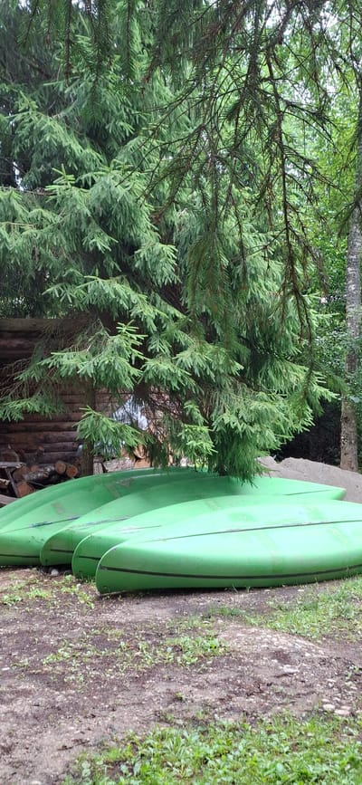 The image shows a row of green kayaks resting on the ground beneath a large evergreen tree. The kayaks are positioned side-by-side, with their hulls facing upwards. A wooden structure, possibly a shed or cabin, is visible behind the kayaks. A pile of logs is stacked to the left of the wooden structure, and further back, a sandy or gravelly area is visible. The ground is covered with dirt, small stones, and some patches of green grass and weeds. The evergreen tree's branches hang low over the kayaks, creating a shaded area. The background consists of more trees and foliage, suggesting a natural, possibly rural or forested environment. There are no people or animals visible in the image.