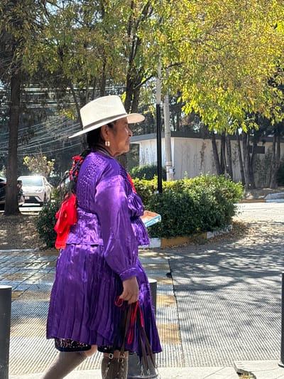 An elderly woman is seen outdoors, wearing traditional clothing. She has on a wide-brimmed white hat and a vivid purple dress with pleated details and a red sash. She is holding what appears to be a bundle of small whips or cords. The background includes trees, a sidewalk, and a street with vehicles. The scene is well-lit, suggesting it is daytime.