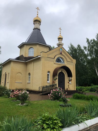 The image shows an Eastern Orthodox church, likely a chapel, constructed of light yellow brick. The building features a prominent golden dome topped with a cross, as well as a smaller golden dome with a cross on a separate turret. The roof is dark gray and tiled. The facade of the building has arched windows and a large arched entrance with double doors and an ornate metal canopy. Steps lead up to the entrance, flanked by a metal railing. Pink and white roses are blooming in bushes in front of the church, and lush green grass and other foliage surround the building. Tall deciduous trees, likely birch, are visible in the background. The sky is overcast and gray, suggesting a cloudy day. The scene appears to be peaceful and well-maintained, possibly in a rural or suburban setting. This church is located in Safonovo, Russia.