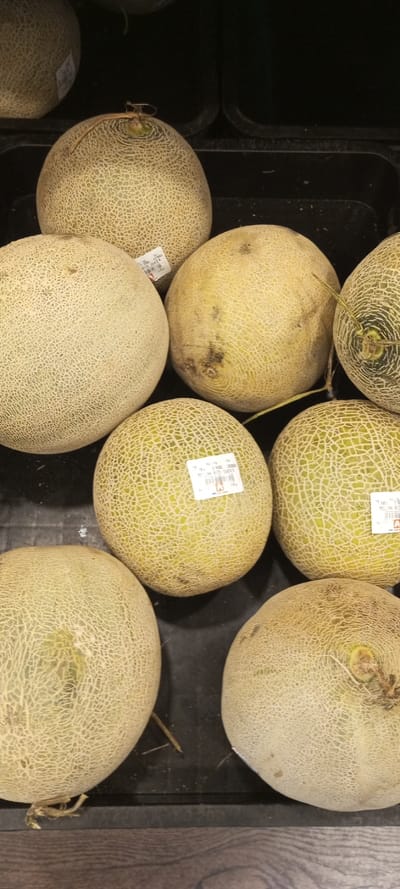A black plastic bin overflows with cantaloupe melons. The melons are round and tan-colored, featuring a distinct web-like pattern on their rinds. Several melons have price tags affixed to them. Dry stems and remnants of vines are visible, suggesting freshness. The arrangement conveys a sense of abundance and showcases the melons' natural textures.