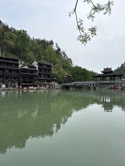 The image depicts the city of Fenghuang, China, reflected in a body of water. Buildings line the river, nestled against a hillside covered in trees. A bridge with a pavilion spans the water. A tree branch with sparse leaves is visible in the upper left corner of the frame. The sky is overcast. The reflections in the water are slightly distorted.