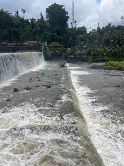 The image depicts a wide, concrete dam with a significant volume of water flowing over its edge, creating a cascading effect and a foamy, turbulent surface. The water appears murky, suggesting it's a river or reservoir. On the left side of the dam, lush green foliage and trees, including palm trees, cover a hillside. Several buildings with thatched roofs are nestled among the trees, suggesting a village or resort area. A tall, white and red communication tower stands prominently on the hillside, indicating proximity to a populated area. The sky is overcast with clouds, suggesting a cloudy or possibly rainy day. The overall scene is one of a natural landscape integrated with human infrastructure. A lone individual can be seen on the dam, partially submerged in the water, appearing to be fishing or retrieving something. The image seems to be taken from an elevated viewpoint, looking down the length of the dam. The orientation of the image is vertical. The location is Klungkung, Indonesia.