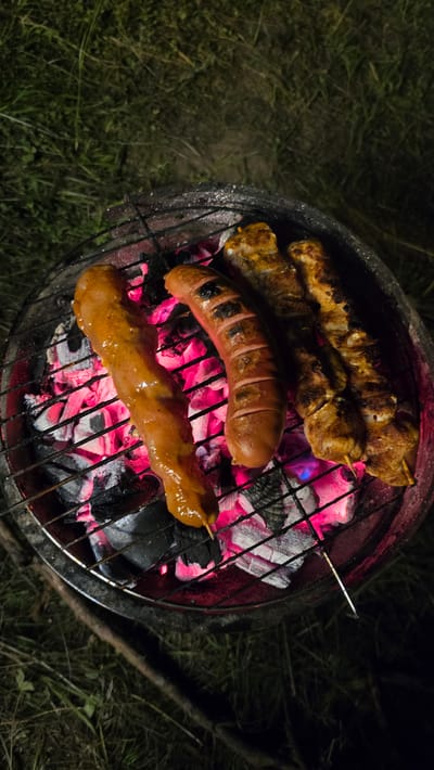 In Dolni Pasarel, Bulgaria, at night, a round charcoal grill is set up outdoors. The grill holds a variety of meats cooking over glowing red embers. On the left, a long, irregularly shaped sausage, coated in a reddish-orange sauce and skewered, is placed diagonally across the grill. Next to it, a plump, segmented sausage with visible grill marks is cooking. To the right of the segmented sausage are two skewers holding chunks of seasoned meat, also showing signs of grilling. The background consists of dark, out-of-focus grass and foliage, indicating a natural, outdoor setting. The lighting is dim, with the grill's heat and the food's browning being the primary illuminated elements.