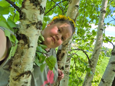 A person wearing a dandelion wreath is upside down in a birch tree in what appears to be Дойная, Russia, as suggested by the birch trees which are common in Russia, and the Russian spelling of the location. The person is wearing a green shirt with a pink design. A grassy area is visible in the background. The sky is visible through the leaves of the tree. The camera angle is looking up at the person.