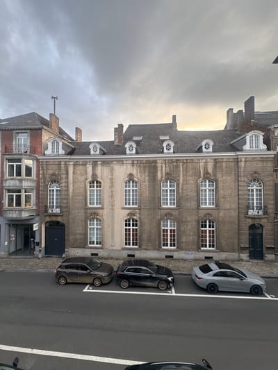 The image shows a street scene in Namur, Belgium, with an overcast sky. In the foreground, a grey asphalt road has white parking lines. Three cars are parked on the road: a dark brown hatchback on the left, a black hatchback in the middle, and a light grey sedan on the right. Behind the cars is a sidewalk, and then a row of buildings. The buildings have a mix of architectural styles. On the left, there is a narrower building with a red brick facade and several windows, including bay windows on the upper floors. Adjacent to it is a larger, older building with a beige, textured facade. This building features numerous tall, white-framed windows, some with arched tops. The roofline of this building is punctuated by dormer windows and chimneys. To the far right, another building is visible, also with white-framed windows and a dark door. The overall impression is a street in an urban environment, likely a residential or mixed-use area.