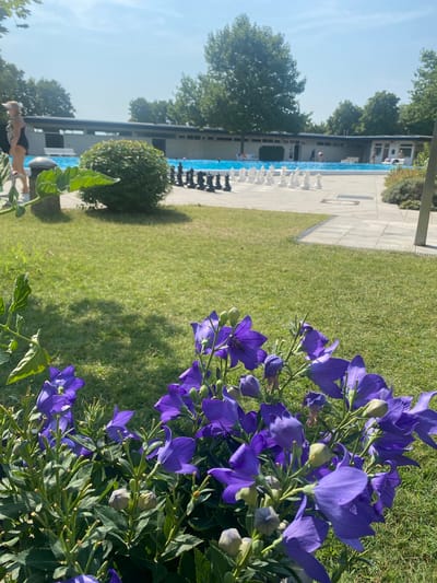 The image depicts an outdoor scene at a public swimming pool in Deutschkreutz, Austria. In the foreground, a cluster of vibrant purple bell-shaped flowers, likely balloon flowers, are in bloom. Behind the flowers, a well-maintained lawn extends towards a paved area. Adjacent to the lawn, a life-sized chessboard is set up with black and white pieces, suggesting a recreational area. In the mid-ground, a bright blue swimming pool is visible with several people swimming or relaxing in the water. A long, low building with a dark roof lines the far side of the pool, likely housing changing rooms or facilities. Trees are present in the background, indicating a green and open environment. The sky is clear and blue, suggesting a sunny day. A person in a black swimsuit and white visor is walking in the left portion of the image, near the pool.