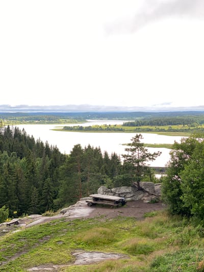This is a landscape photograph taken from a high vantage point overlooking a large body of water, likely a lake or a wide river, near Lakhdenkiulya, Russia. The foreground features a rocky, uneven terrain covered with patches of green grass and some dirt paths. Two wooden picnic benches with attached tables are situated on the rocks in the mid-ground, suggesting a designated resting or viewing area. Behind the picnic area, a dense coniferous forest stretches out, with tall evergreen trees dominating the scene. In the distance, the water is calm and reflects the overcast sky. The far bank of the water is lined with more trees and some scattered buildings, hinting at a rural or semi-rural settlement. The sky is largely white with some subtle cloud formations. No people are visible in the image.