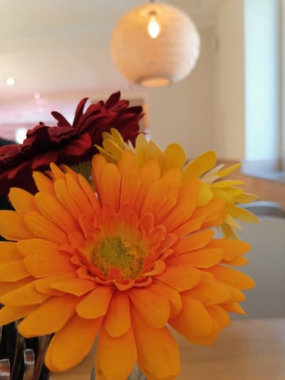A close-up shot focuses on a bouquet of artificial flowers, predominantly an orange Gerbera in the foreground. To its left and slightly behind is a dark red flower, and to the right and behind are yellow and white flowers. The bouquet is placed on a wooden surface. In the background, a softly lit, woven lampshade hangs from the ceiling. The environment appears to be indoors, possibly a cafe or a restaurant, with a blurred background suggesting a table and chairs. The scene is brightly lit, with a shallow depth of field blurring the background elements. The location is identified as Grünwald, Germany. There are no people visible in the image.
