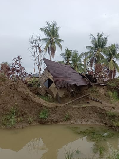 This image depicts the aftermath of a natural disaster in Meunasah Raya, Indonesia. A small, partially collapsed house with a corrugated metal roof is situated on a muddy embankment. The house is severely damaged, with its walls caved in and the roof significantly detached and tilted. Debris and broken wooden beams are scattered around the structure. Behind the house, several palm trees are visible, some appearing healthy, while others are leafless, suggesting potential damage or a dry season. A small body of murky water, possibly a pond or flooded area, occupies the foreground, reflecting the overcast sky and the surrounding vegetation. The ground is predominantly composed of mud, with patches of grass and sparse vegetation growing on the embankment. The overall environment appears to be a rural or semi-rural area, with the damage indicating a recent destructive event like a landslide, flood, or storm. No people are visible in the scene.