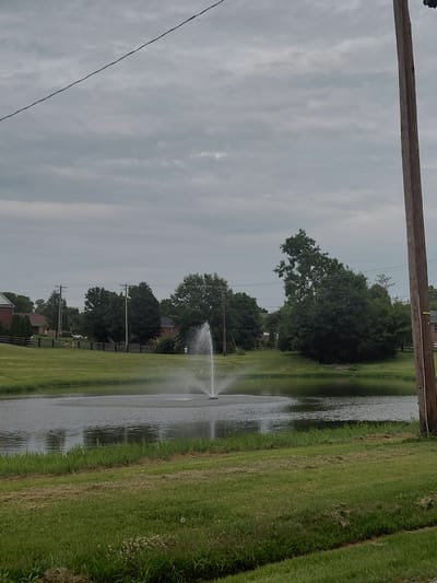 This image depicts an outdoor scene in Wilmore, United States of America, on an overcast day. A pond with a fountain in the center dominates the middle ground. The fountain is actively spraying water upwards and outwards, creating a circular mist. The pond's surface is rippled, reflecting the cloudy sky and surrounding greenery.

In the background, a well-maintained lawn slopes gently down to the pond. Beyond the lawn, there is a line of trees and several residential buildings, suggesting a suburban or semi-rural setting. A wooden fence runs along the edge of the property near the buildings. Several individuals are visible in the distance, appearing as small figures against the landscape, with at least two individuals appearing to be children on the lawn.

A prominent wooden utility pole stands on the right side of the frame, with electrical wires extending across the top of the image. The foreground consists of a grassy area with some patches of mown grass, indicating recent maintenance. The overall atmosphere is calm and natural, with the man-made elements integrated into the landscape.