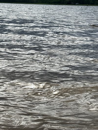 The image shows a body of water, likely a lake or a large river, with ripples on its surface reflecting sunlight. In the distance, a dark green treeline is visible along the horizon, suggesting a natural or semi-natural environment. The water is calm with gentle waves. There are no people or specific objects clearly identifiable in the foreground, focusing instead on the texture and movement of the water. The scene appears to be an outdoor, natural setting.